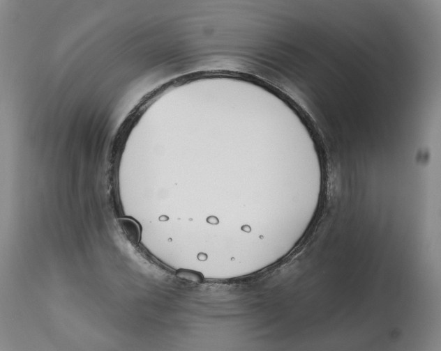 X0000112531116200909141240