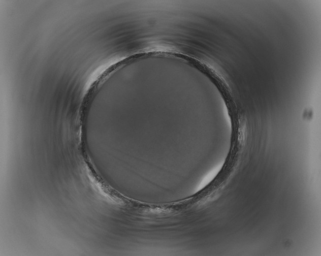 X0000112531117200909141240