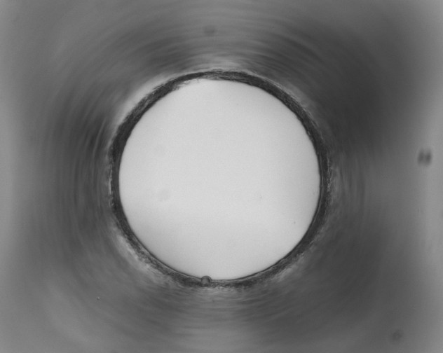 X0000112531118200909141240