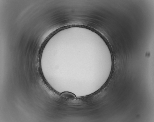 X0000112531119200909141240