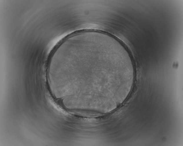 X0000112531120200909141240