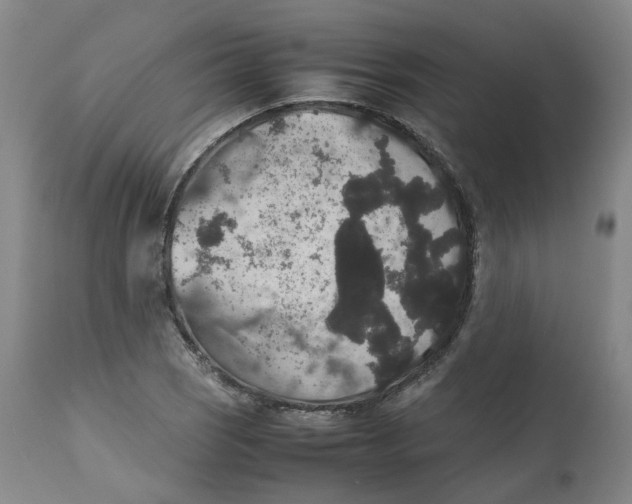 X0000112531121200909141240