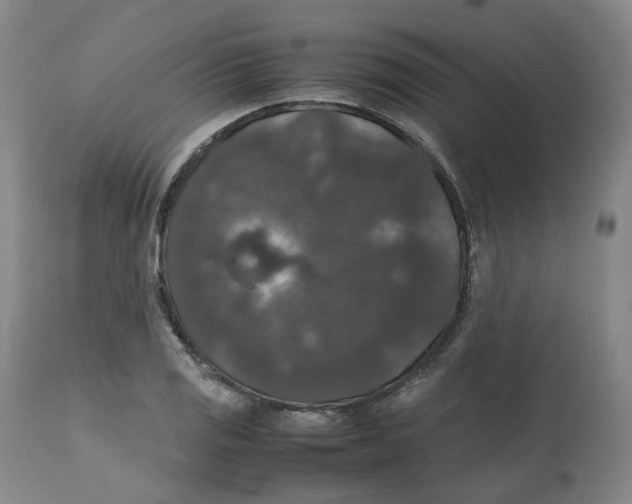 X0000112531125200909141240