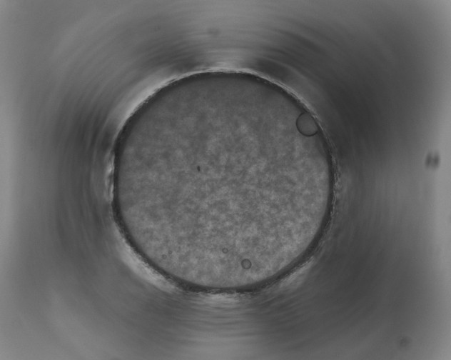 X0000112531126200909141240