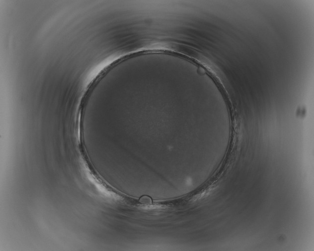 X0000112531127200909141240