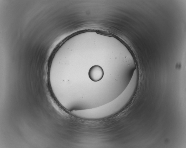 X0000112531128200909141240