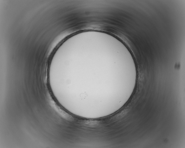 X0000112531131200909141240