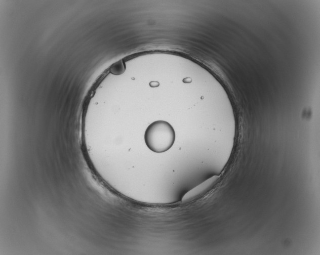 X0000112531132200909141240