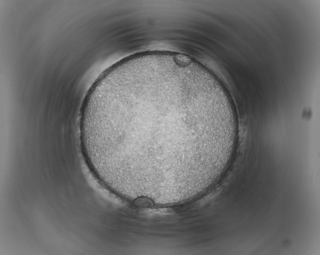 X0000112531133200909141240