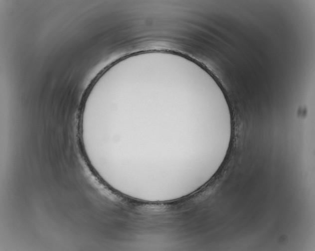 X0000112531134200909141240