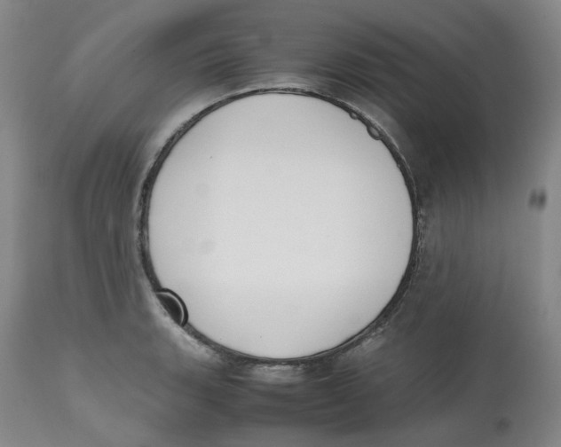 X0000112531135200909141240