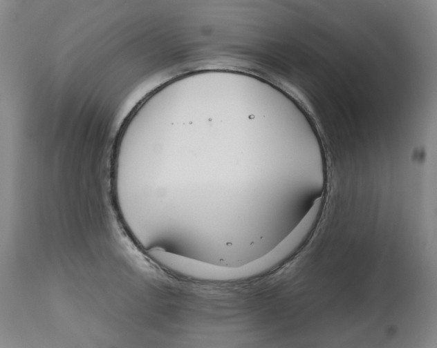 X0000112531138200909141240