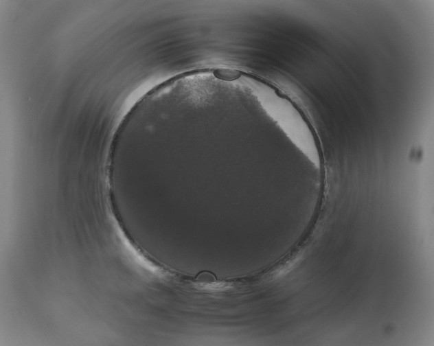 X0000112531141200909141240