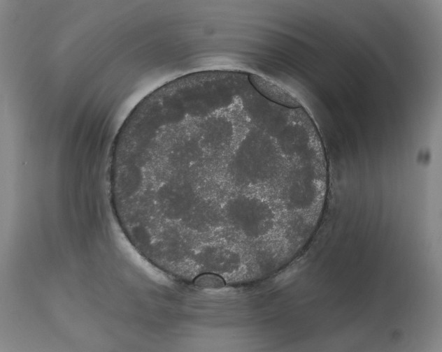 X0000112531142200909141240