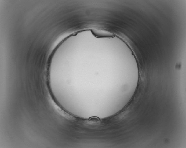 X0000112531147200909141240