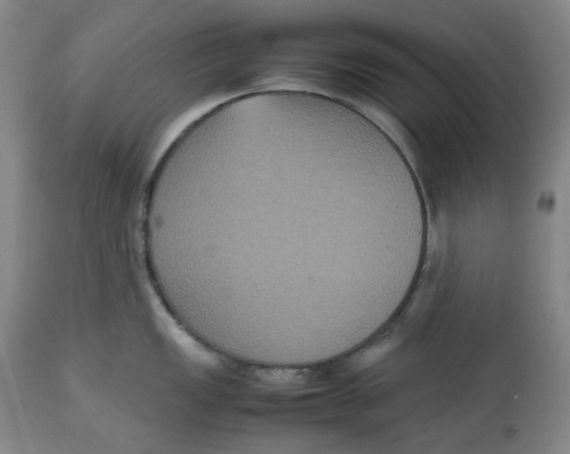 X0000112531149200909141240