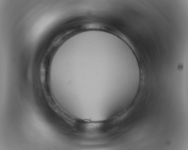 X0000112531151200909141241