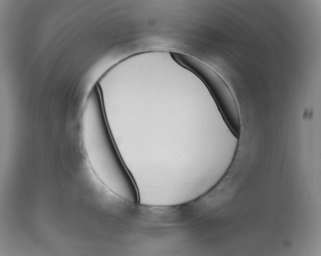 X0000112531152200909141241