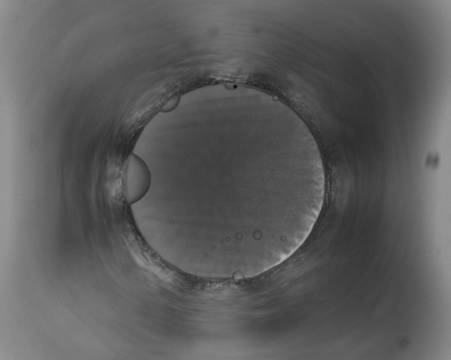 X0000112531154200909141240