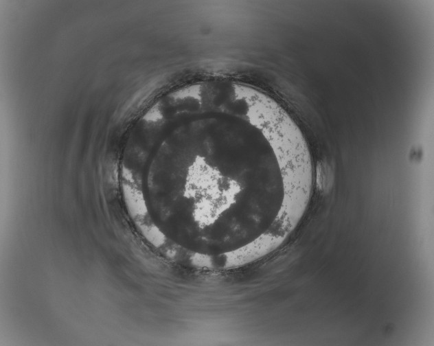 X0000112531155200909141240