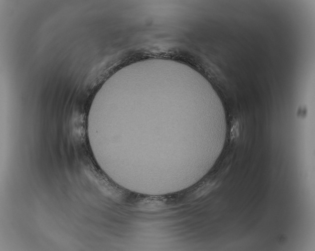 X0000112531156200909141240