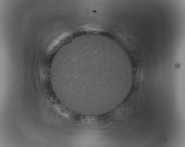 X0000112531157200909141240