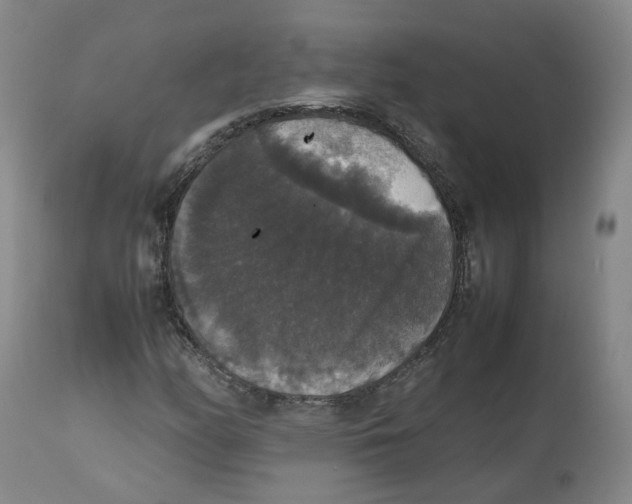 X0000112531158200909141240