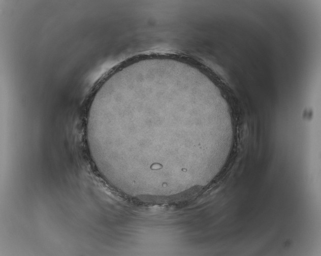 X0000112531160200909141240