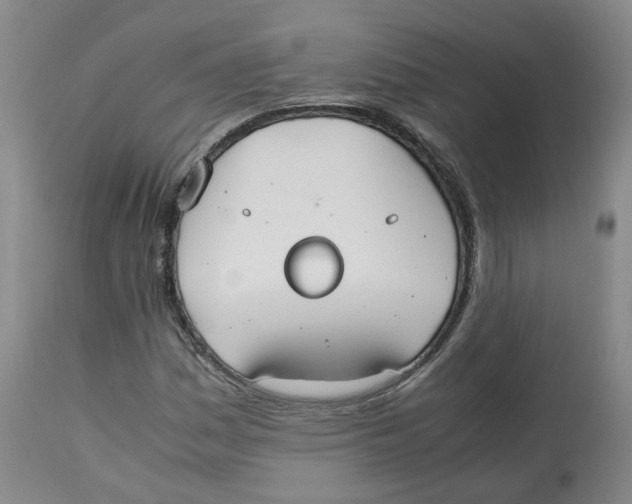 X0000112531161200909141240