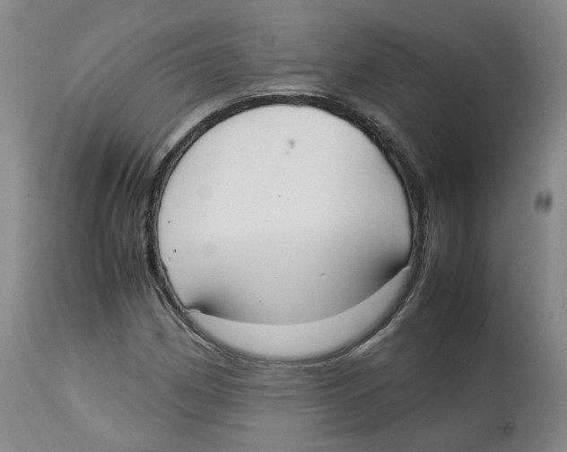 X0000112531162200909141240