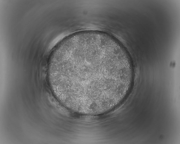 X0000112531163200909141240