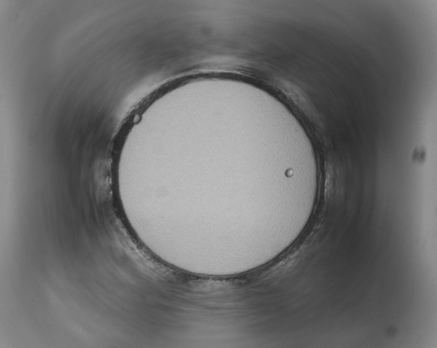 X0000112531164200909141239