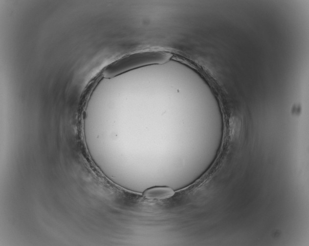 X0000112531165200909141239