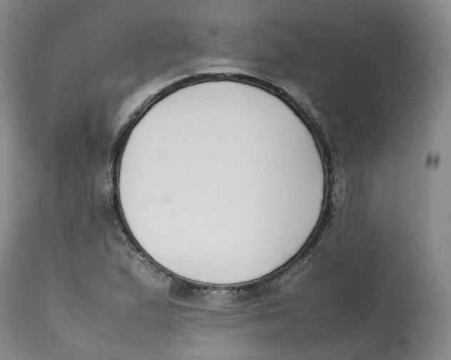 X0000112531167200909141239