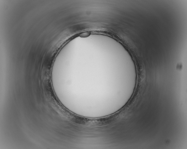 X0000112531169200909141239