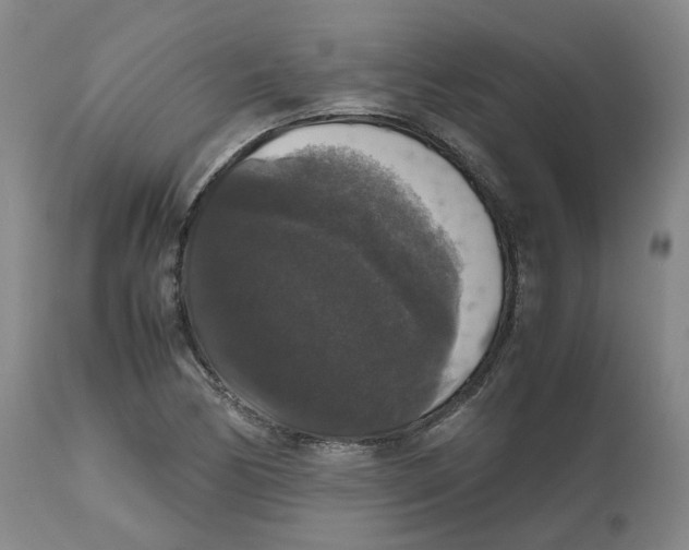 X0000112531170200909141239