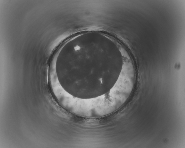 X0000112531171200909141239