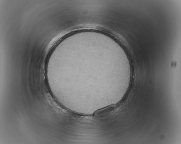 X0000112531172200909141239