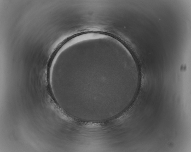 X0000112531174200909141239