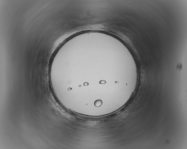 X0000112531176200909141239