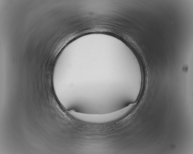 X0000112531177200909141239