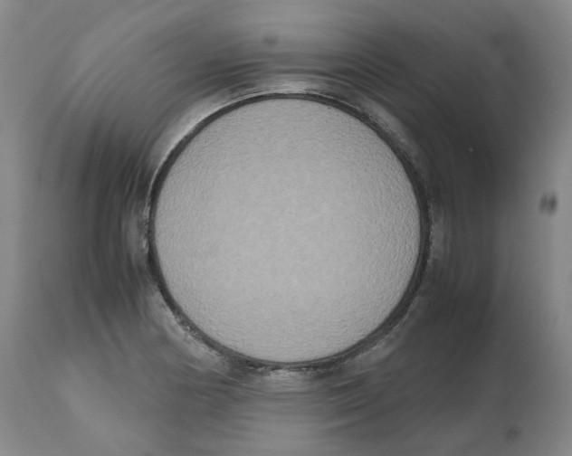 X0000112531178200909141239