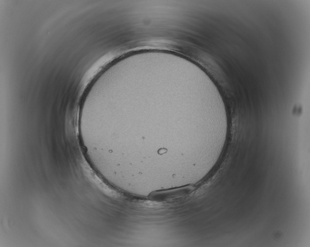 X0000112531180200909141239