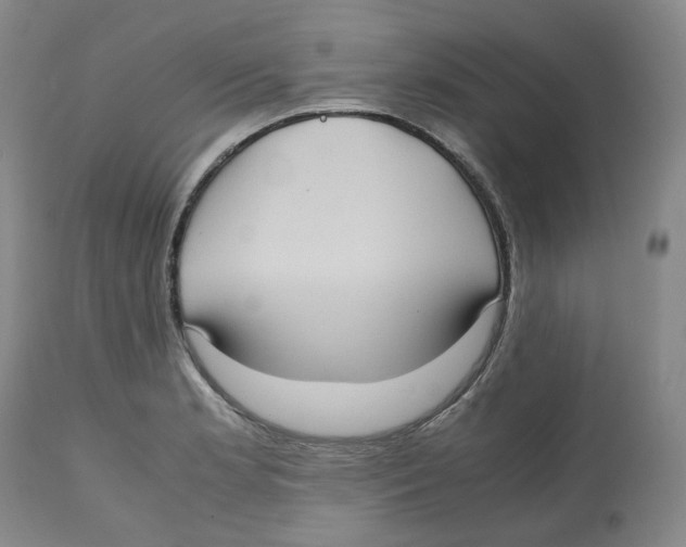 X0000112531181200909141239