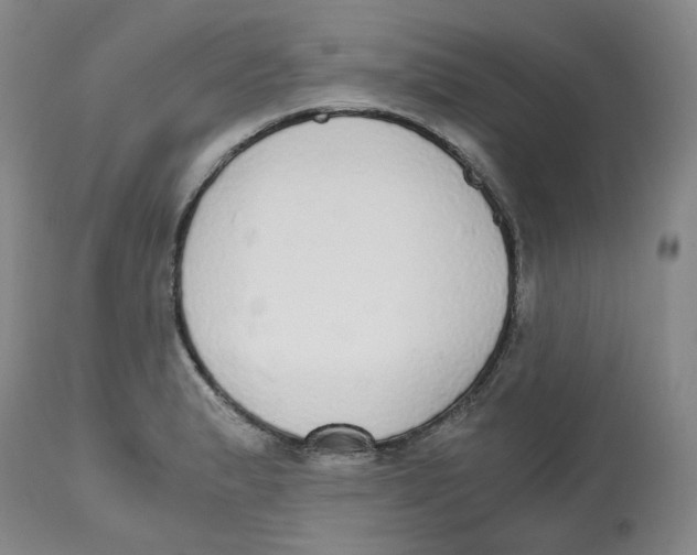 X0000112531183200909141239