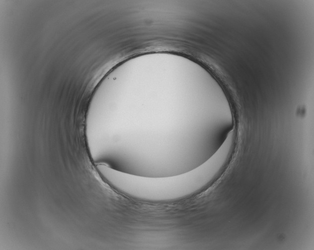 X0000112531185200909141239