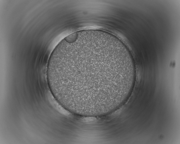 X0000112531186200909141239