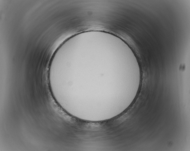 X0000112531190200909141239