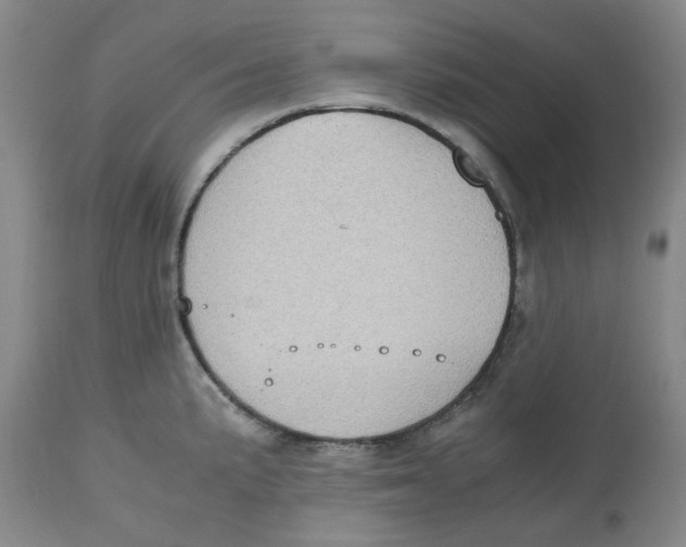 X0000112531191200909141239