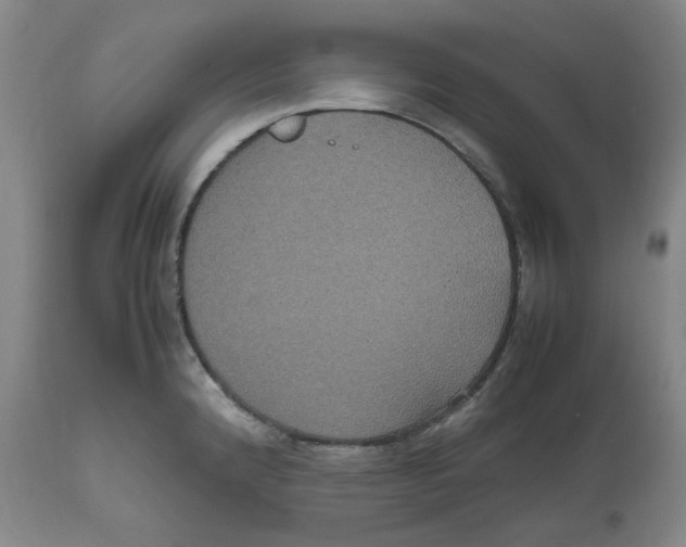 X0000112531192200909141239